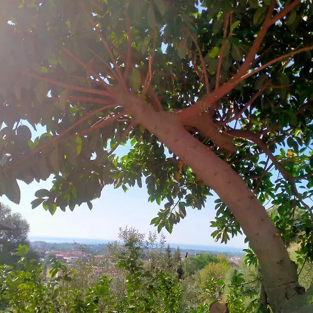 Bed & Breakfast Il Siriaco *
